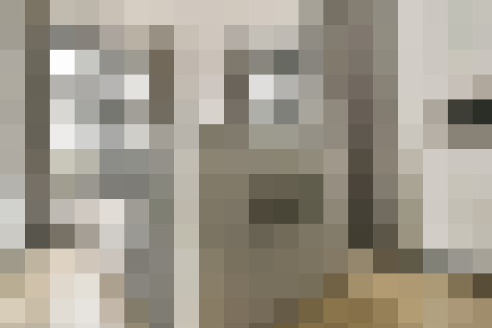 Image 17