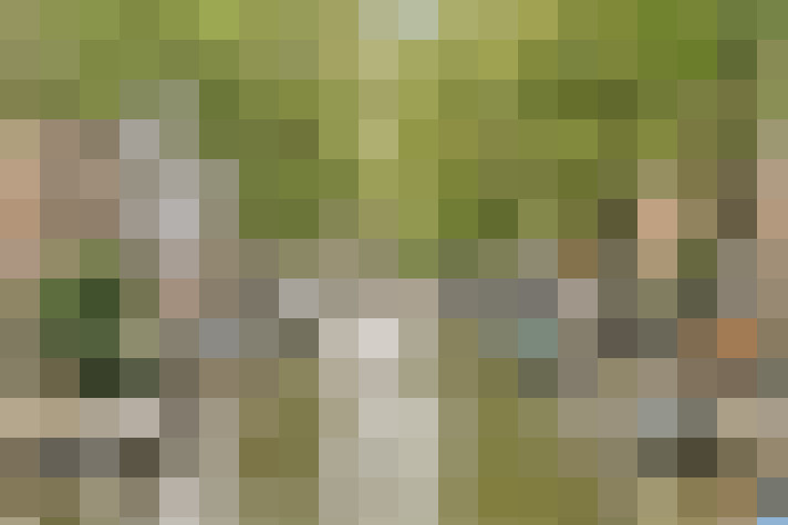 Image 30