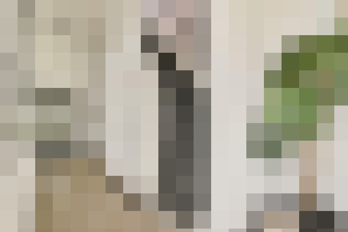 Image 25
