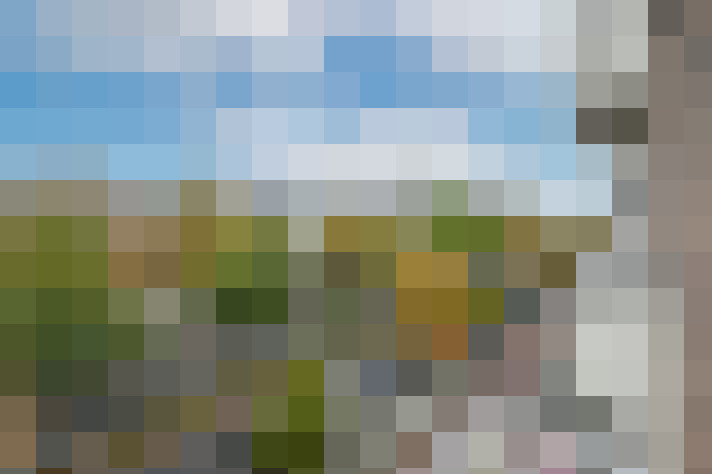 Image 15