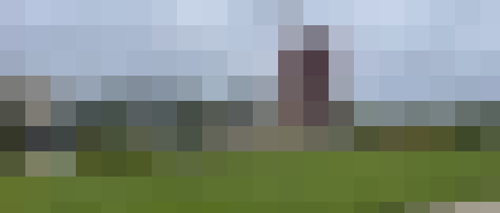 Image 15
