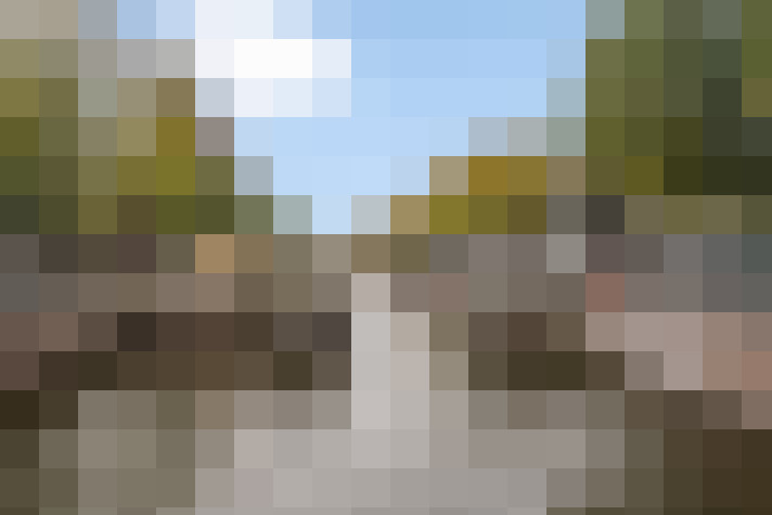 Image 13