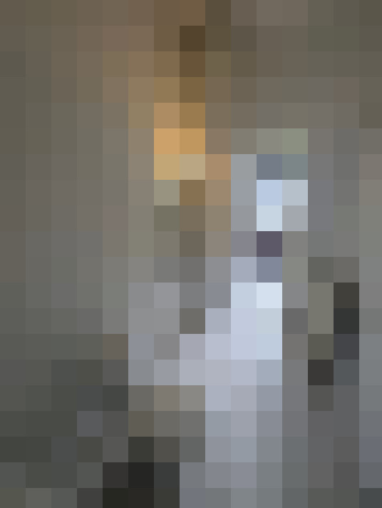 Image 13