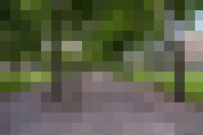 Image 25