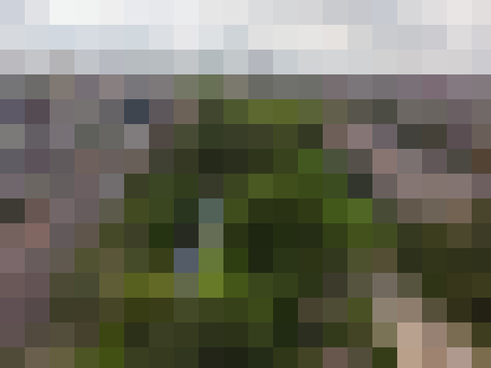 Image 23