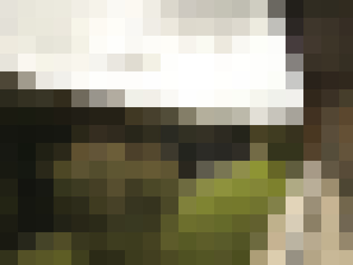 Image 20