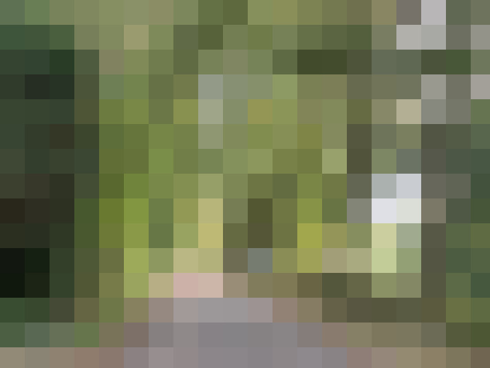 Image 40