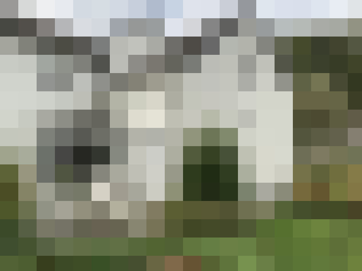 Image 13