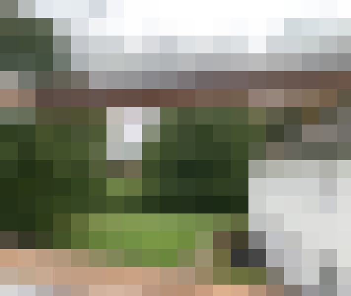 Image 23