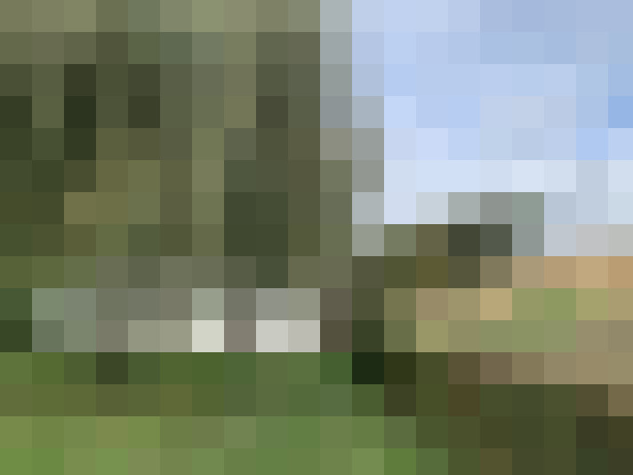 Image 39