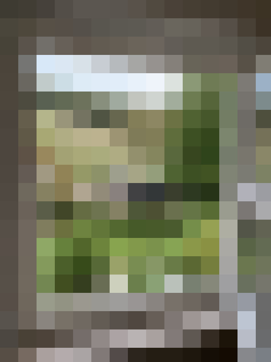 Image 31