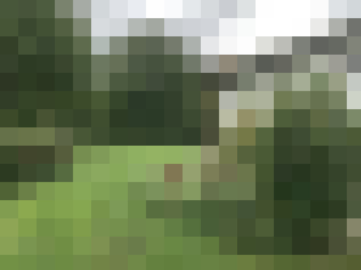 Image 14