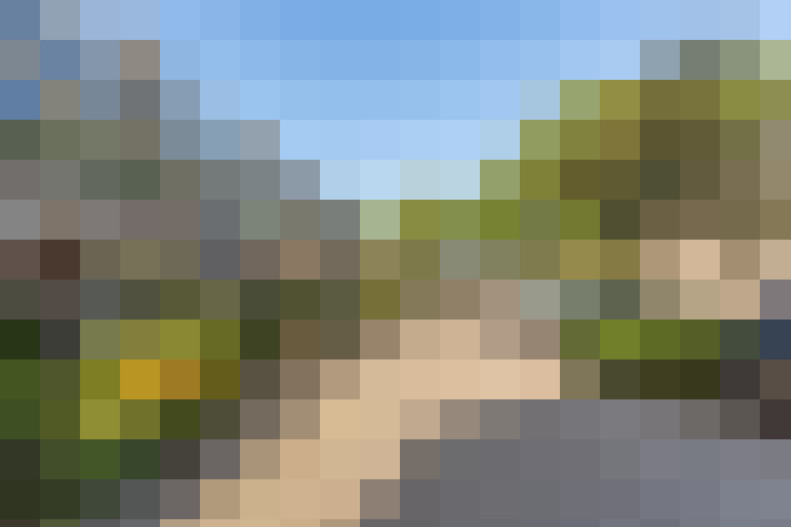 Image 37