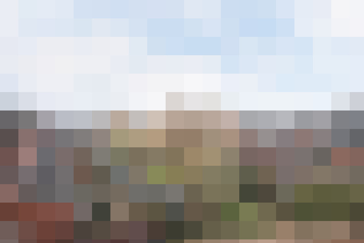 Image 17