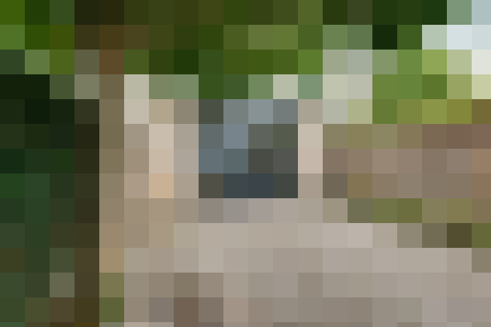 Image 26