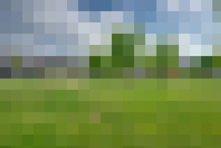 Image 28