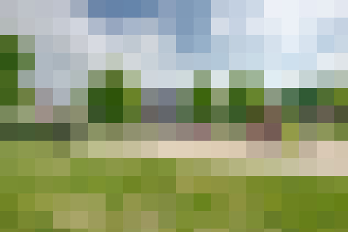 Image 29
