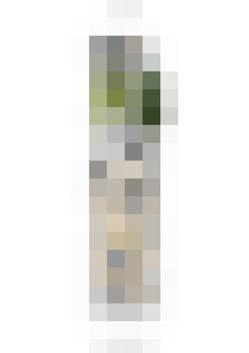 Image 34