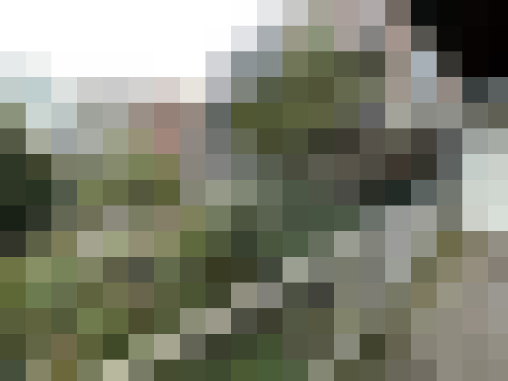 Image 13