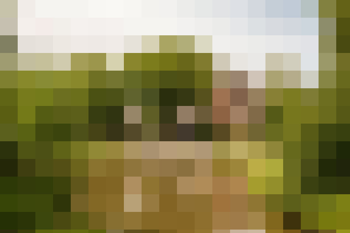 Image 36