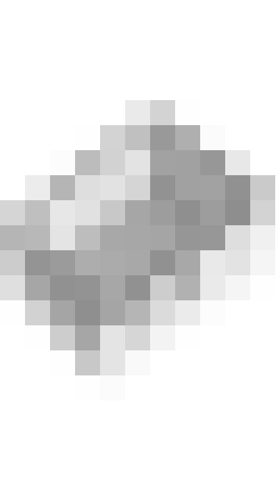 Image 48