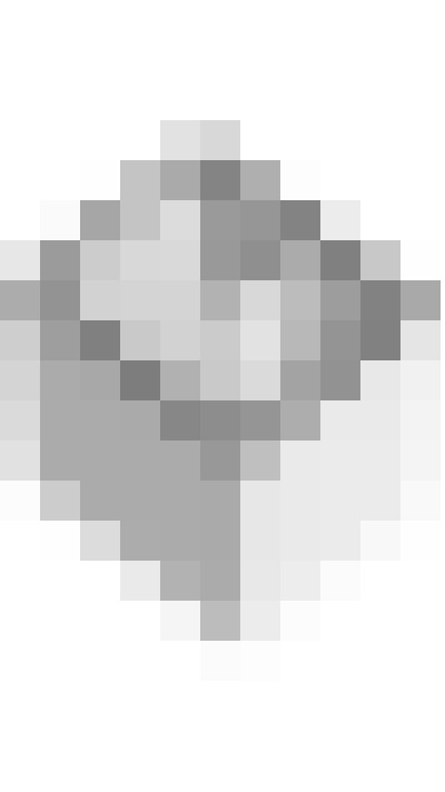 Image 42
