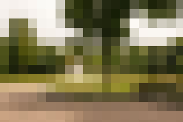 Image 37