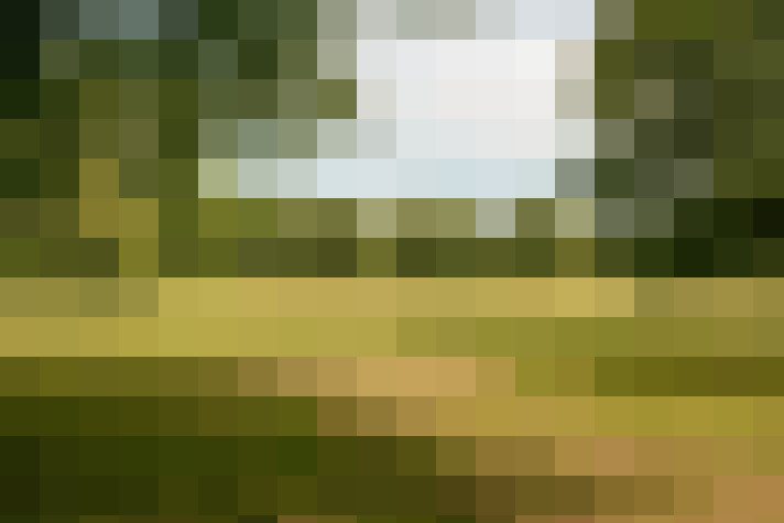 Image 38