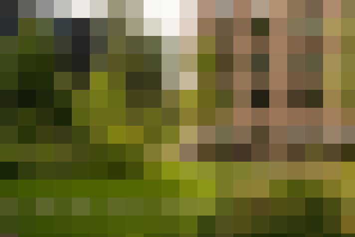 Image 39