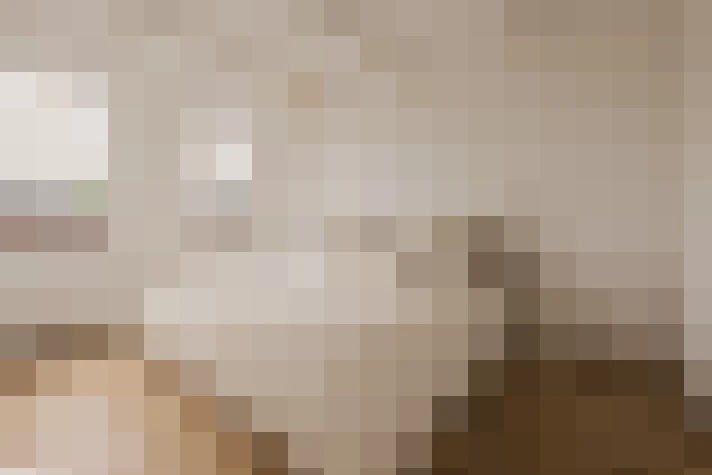Image 29