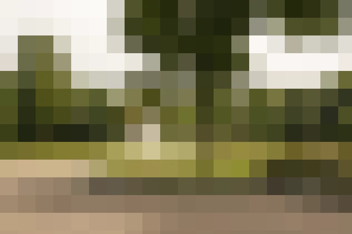 Image 37