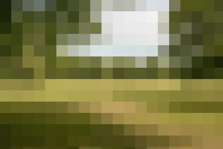 Image 38