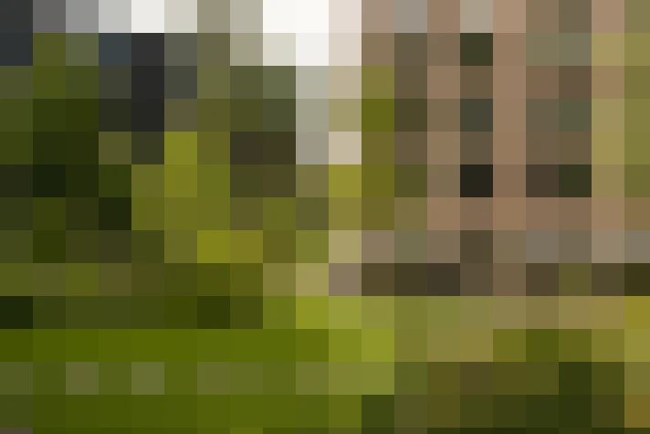 Image 39