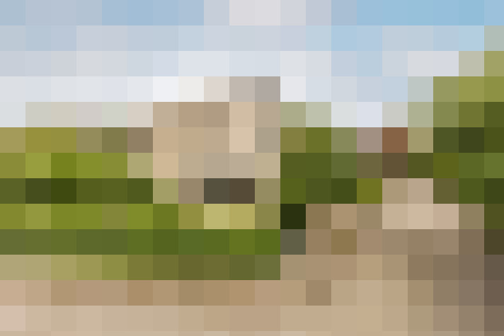 Image 35