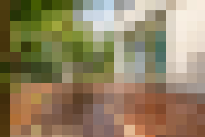 Image 17