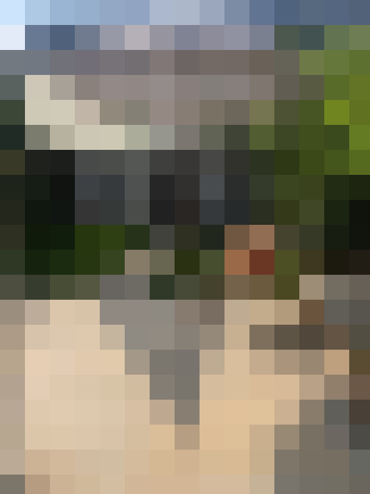 Image 20