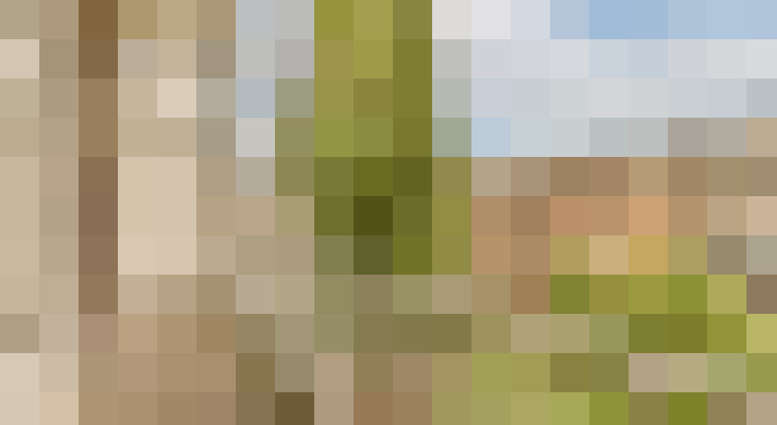 Image 23