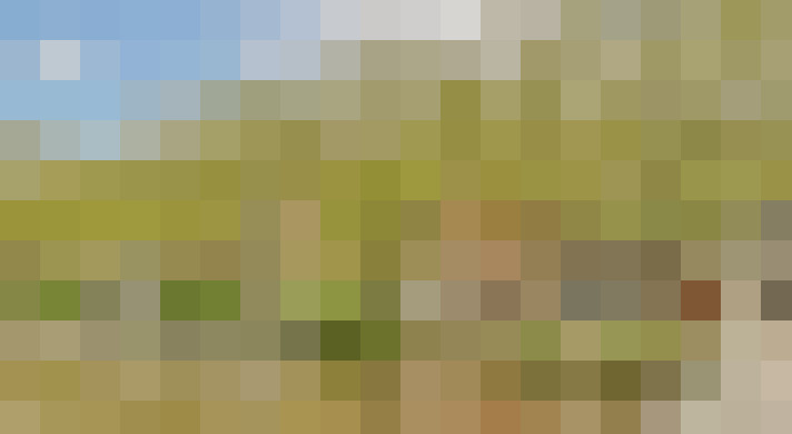Image 40