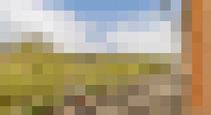 Image 29