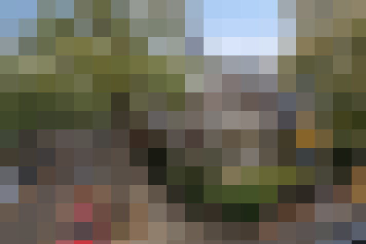 Image 17