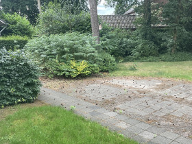 Studio in Hilversum