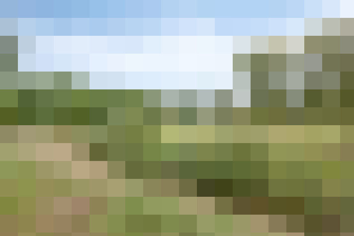 Image 41