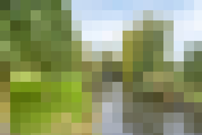 Image 43