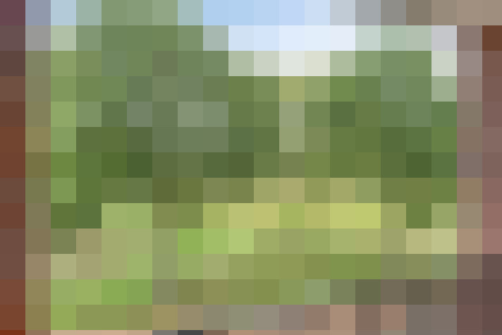 Image 24