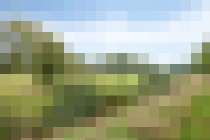 Image 42