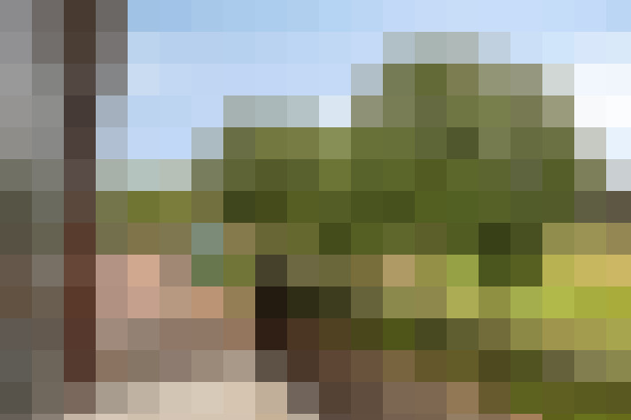 Image 25