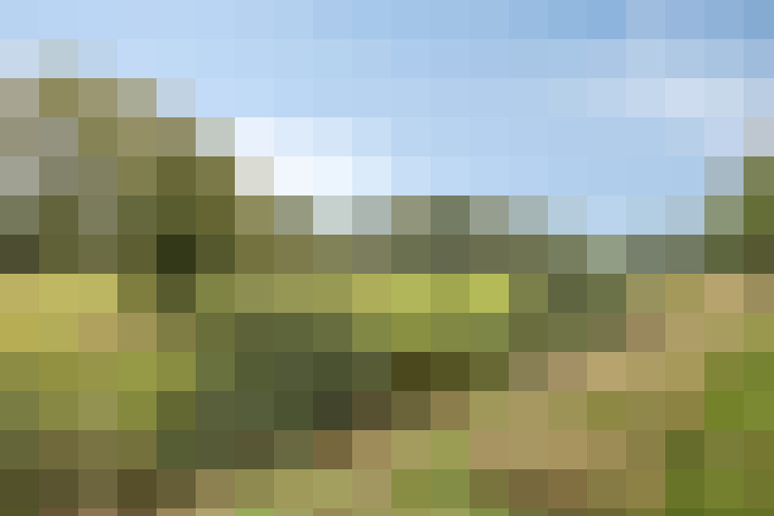 Image 37