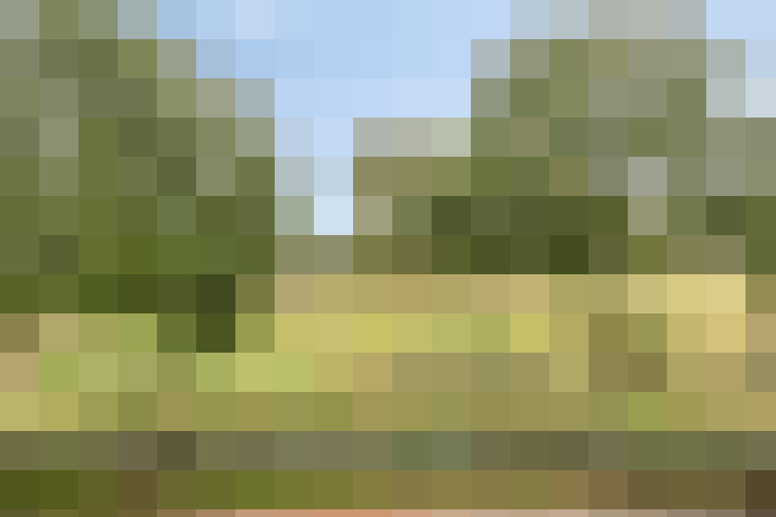 Image 26