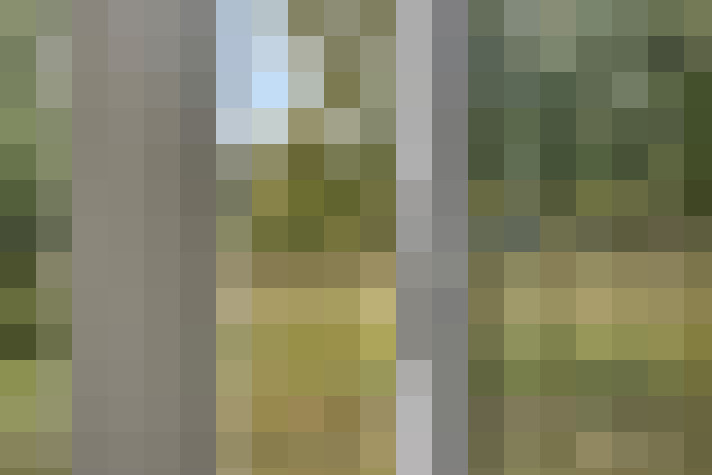 Image 23