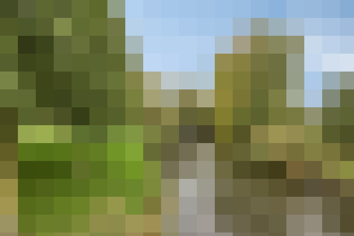Image 38